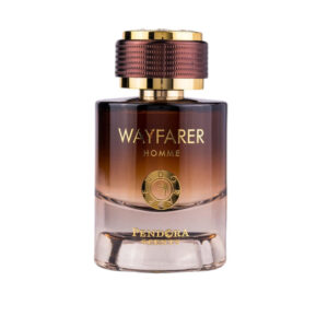 Wayfarer Homme